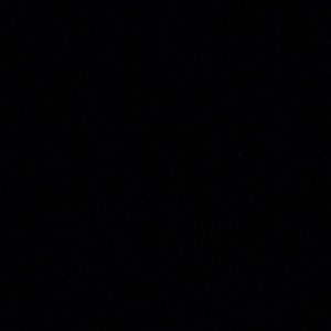 Meet your Posher, Maddie